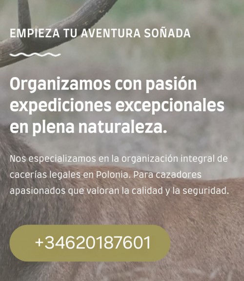 imagen de Caza en Polonia